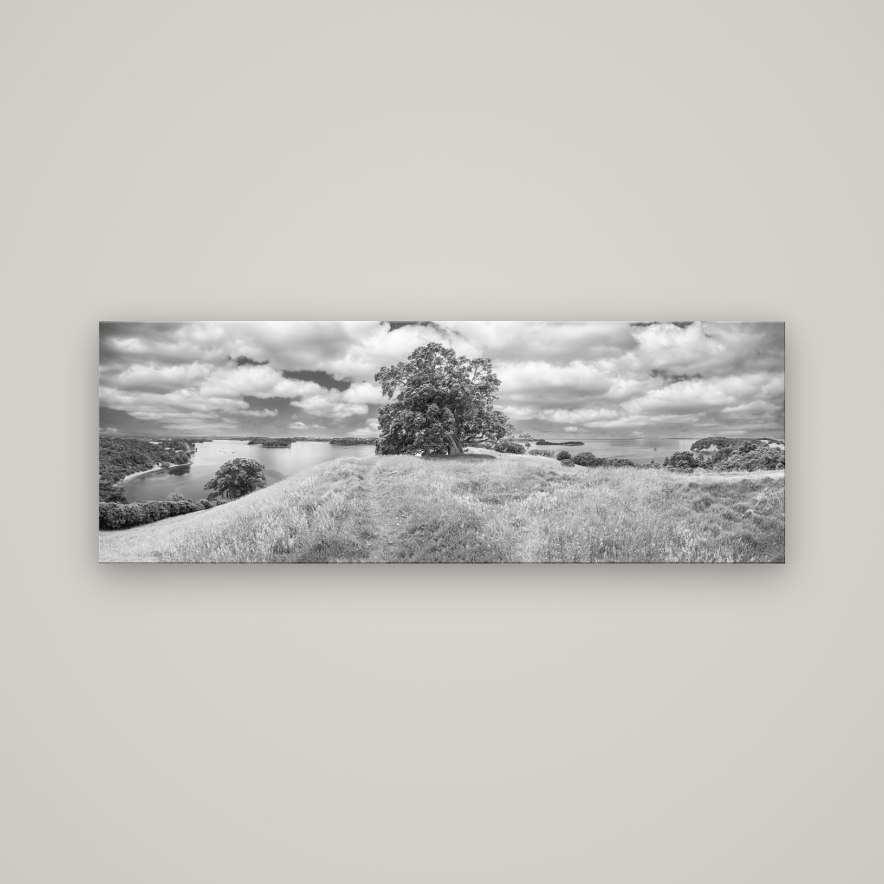 Harbour of Tranquility, Pōhutukawa Bloom at Mahurangi — No frame, 170×60 cm. New Zealand fine art wall art by Stephen Milner.