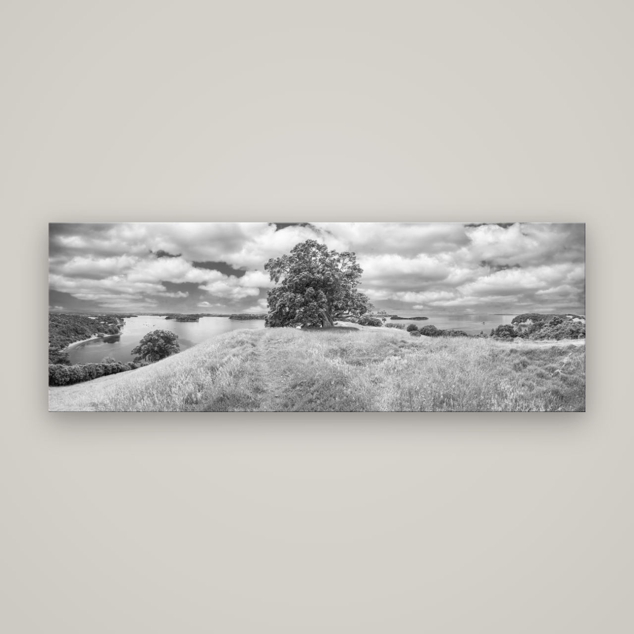 Harbour of Tranquility, Pōhutukawa Bloom at Mahurangi — No frame, 198×70 cm. New Zealand fine art wall art by Stephen Milner.