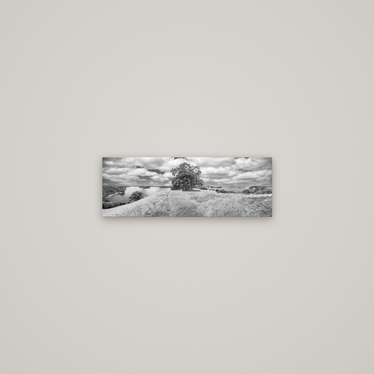 Harbour of Tranquility, Pōhutukawa Bloom at Mahurangi — No frame, 57×20 cm. New Zealand fine art wall art by Stephen Milner.