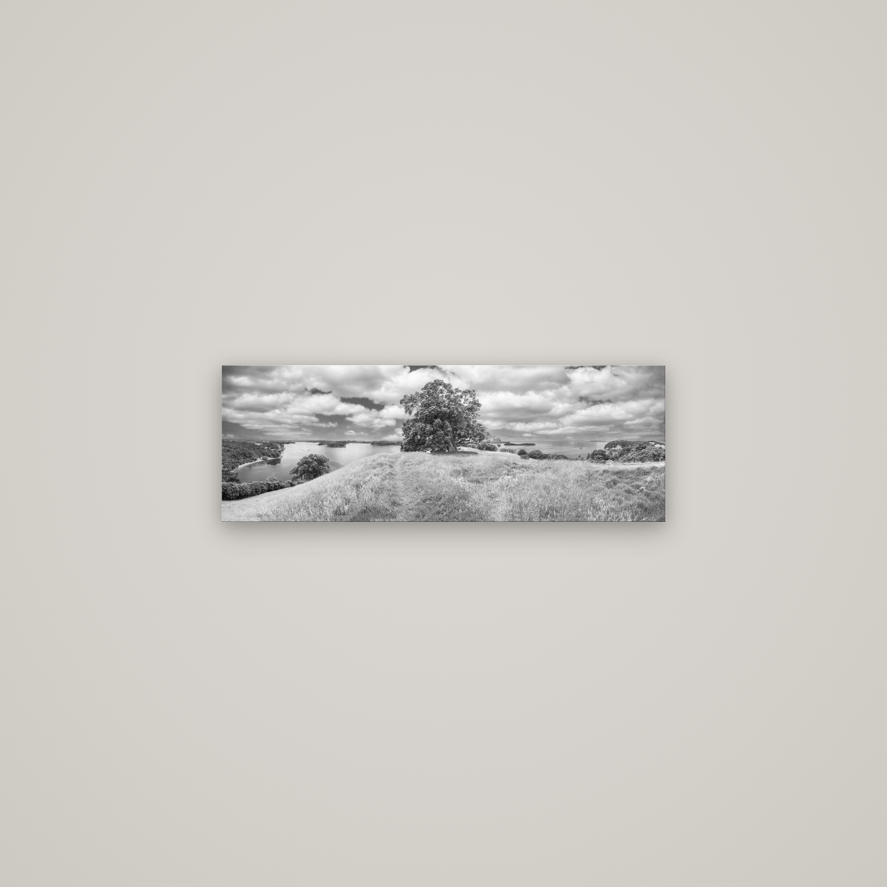 Harbour of Tranquility, Pōhutukawa Bloom at Mahurangi — No frame, 68×24 cm. New Zealand fine art wall art by Stephen Milner.