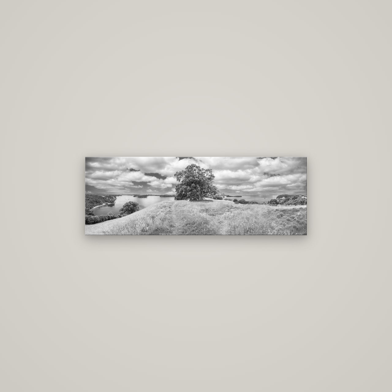 Harbour of Tranquility, Pōhutukawa Bloom at Mahurangi — No frame, 85×30 cm. New Zealand fine art wall art by Stephen Milner.