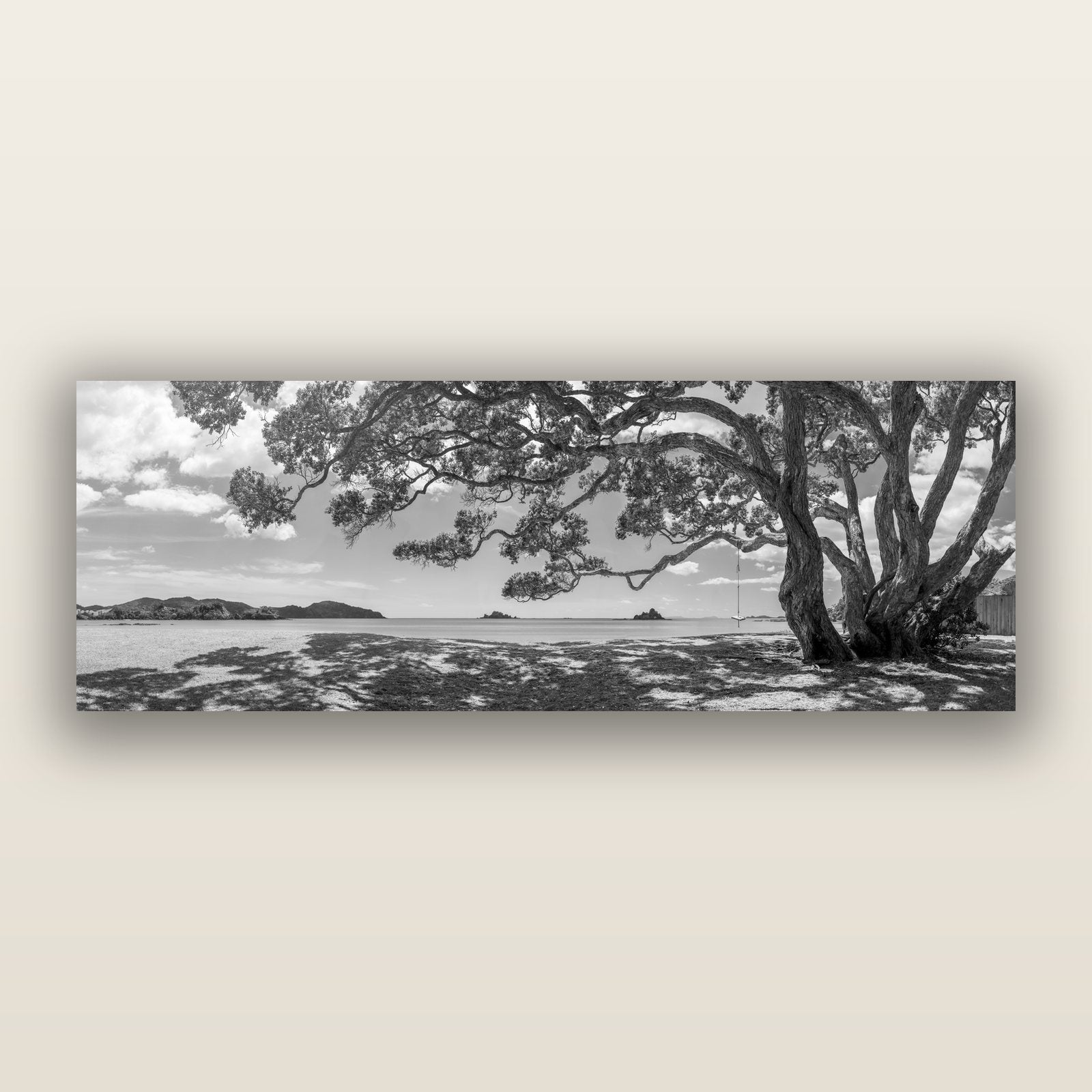 Harbour of Summer Light, Pōhutukawa Bloom, Bay of Islands, black and white frameless acrylic glass print. New Zealand fine art photography by Stephen Milner.
