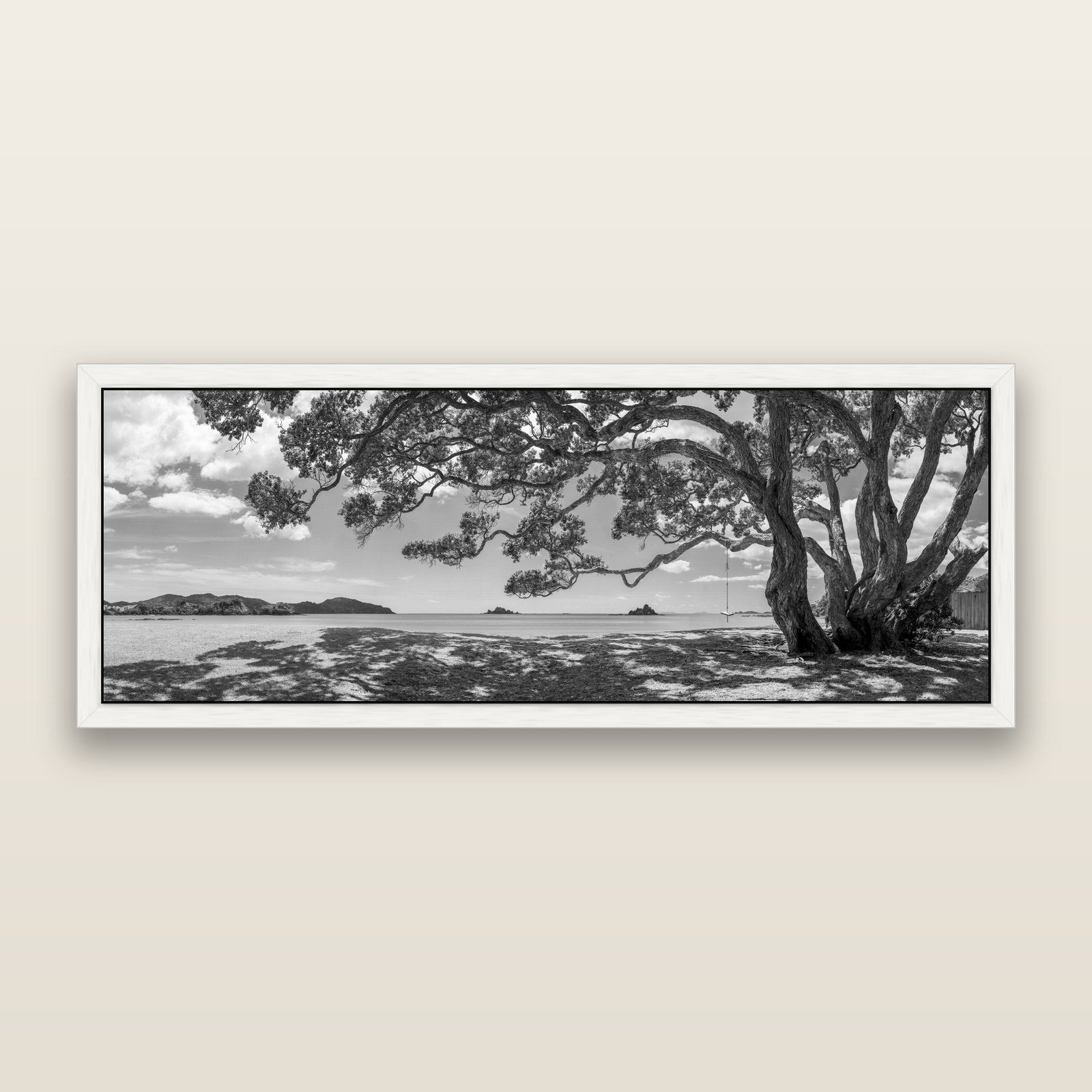 Harbour of Summer Light, Pōhutukawa Bloom, Bay of Islands, black and white framed metallic canvas print, White frame. New Zealand fine art wall art by Stephen Milner.