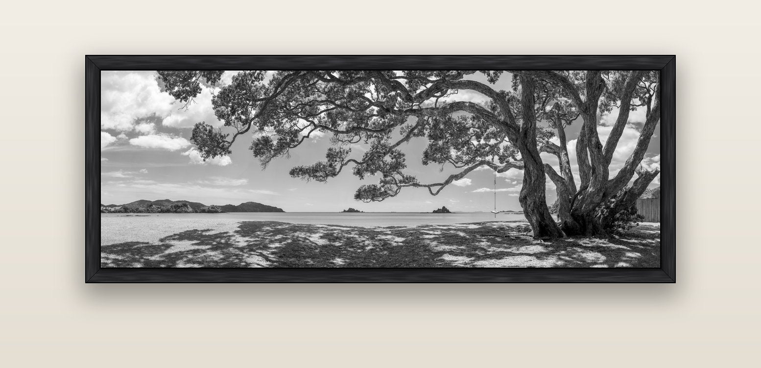 Harbour of Summer Light, Pōhutukawa Bloom, Bay of Islands — black float frame canvas, 152 × 56 cm. New Zealand fine art landscape wall art by Stephen Milner.