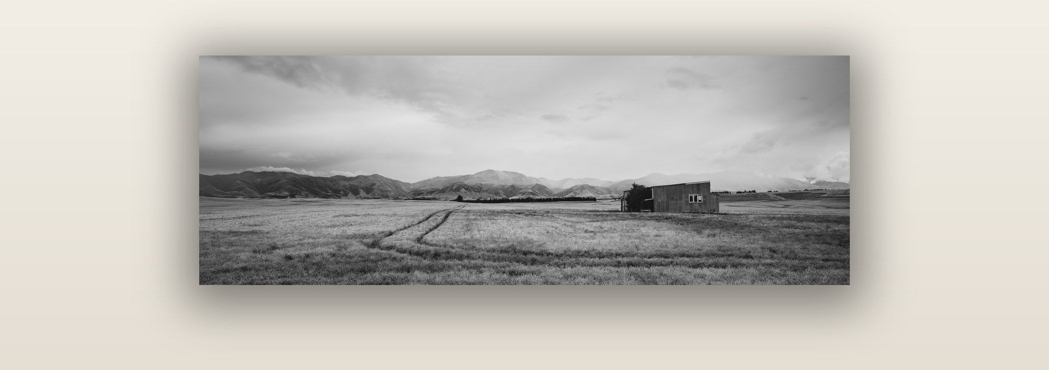 Harvest Light, Canterbury — acrylic glass print. New Zealand fine art landscape wall art by Stephen Milner.
