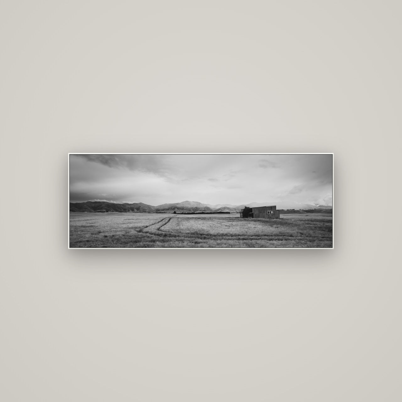 Harvest Light, Canterbury — ArtBox White, 113×40 cm. New Zealand fine art wall art by Stephen Milner.