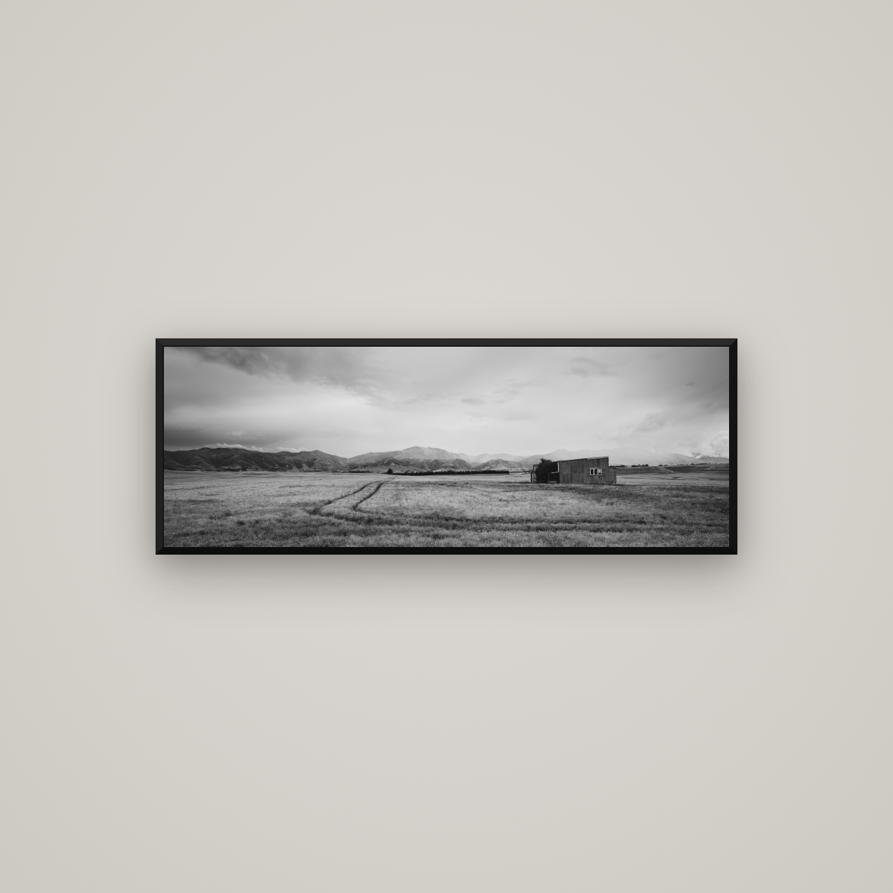Harvest Light, Canterbury — Basel Black Matte, 113×40 cm. New Zealand fine art wall art by Stephen Milner.