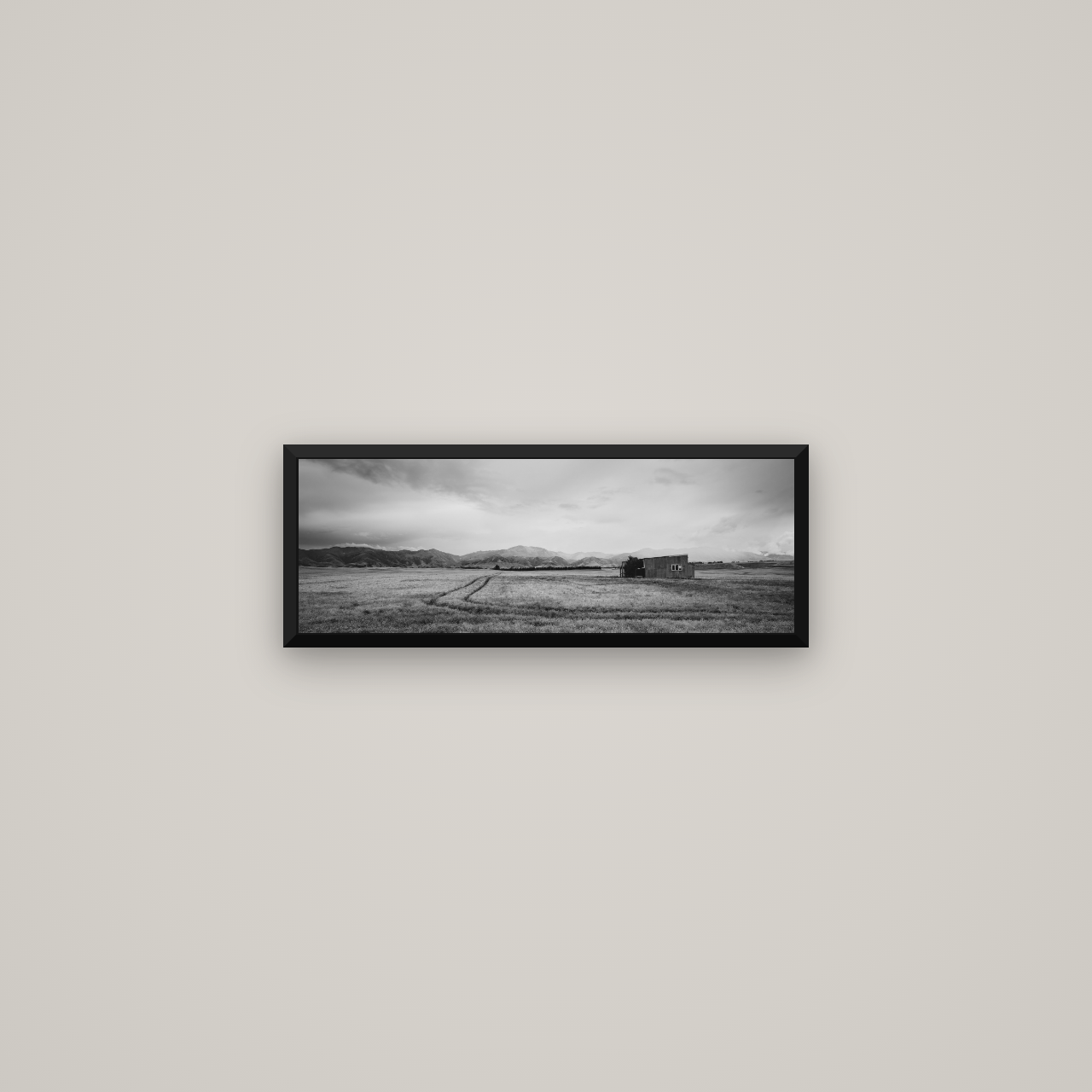 Harvest Light, Canterbury — Basel Black Matte, 57×20 cm. New Zealand fine art wall art by Stephen Milner.