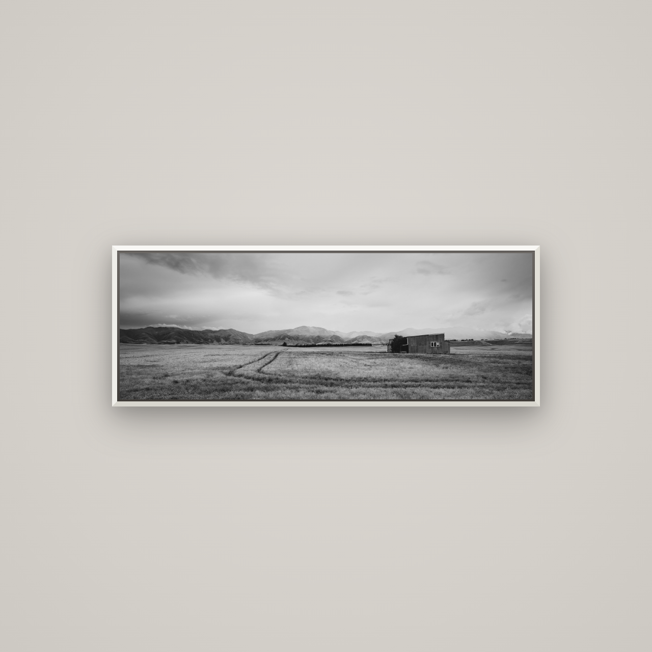 Harvest Light, Canterbury — Basel White, 113×40 cm. New Zealand fine art wall art by Stephen Milner.