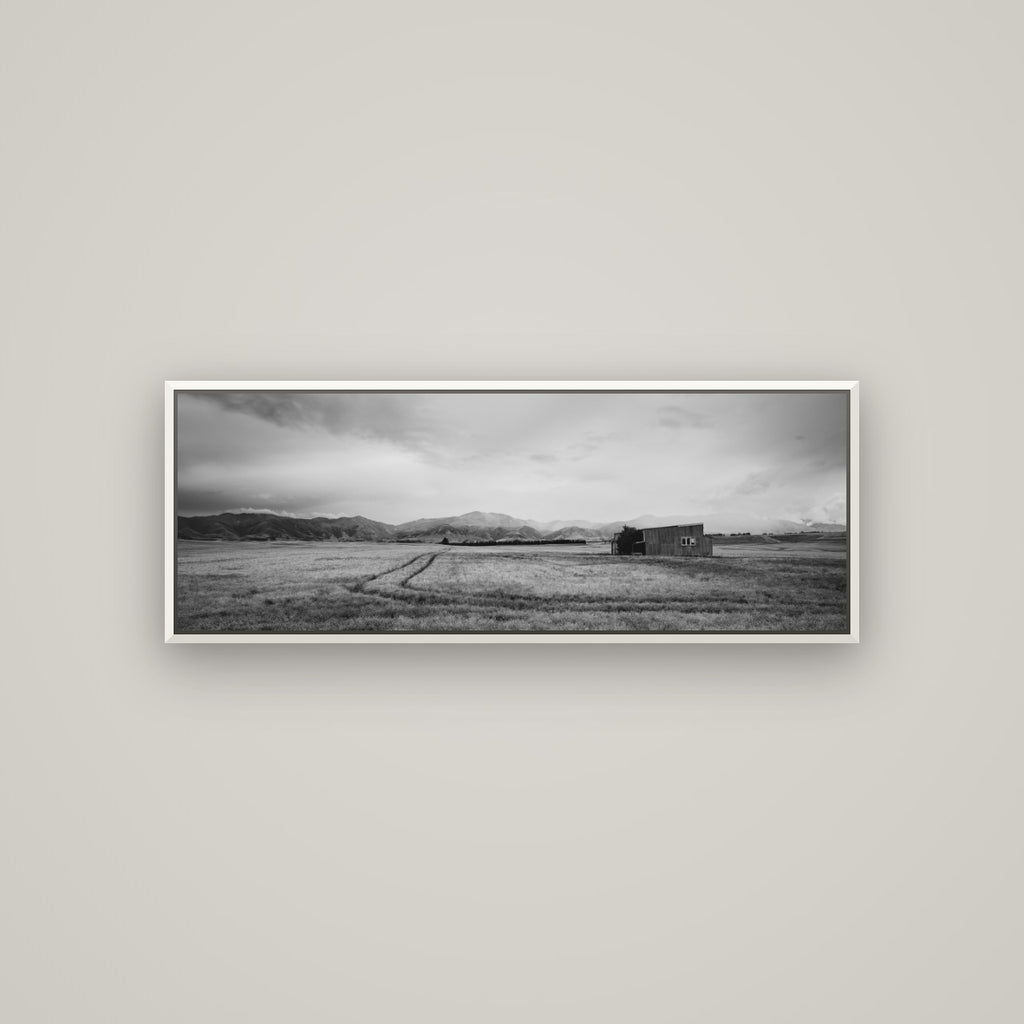 Harvest Light, Canterbury — Basel White, 113×40 cm. New Zealand fine art wall art by Stephen Milner.