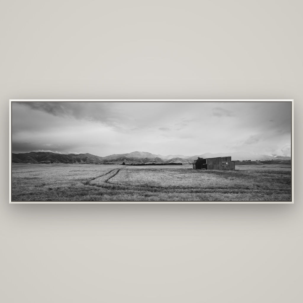 Harvest Light, Canterbury — Basel White, 198×70 cm. New Zealand fine art wall art by Stephen Milner.