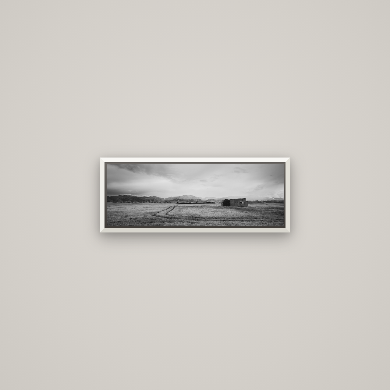 Harvest Light, Canterbury — Basel White, 57×20 cm. New Zealand fine art wall art by Stephen Milner.