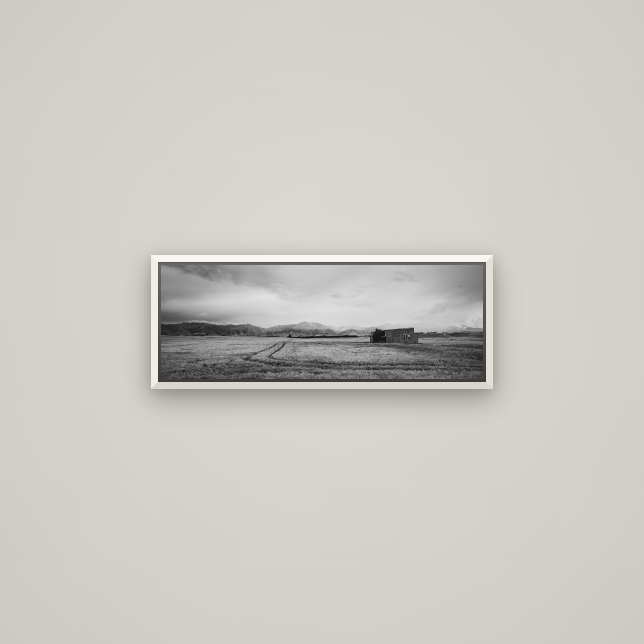 Harvest Light, Canterbury — Basel White, 68×24 cm. New Zealand fine art wall art by Stephen Milner.