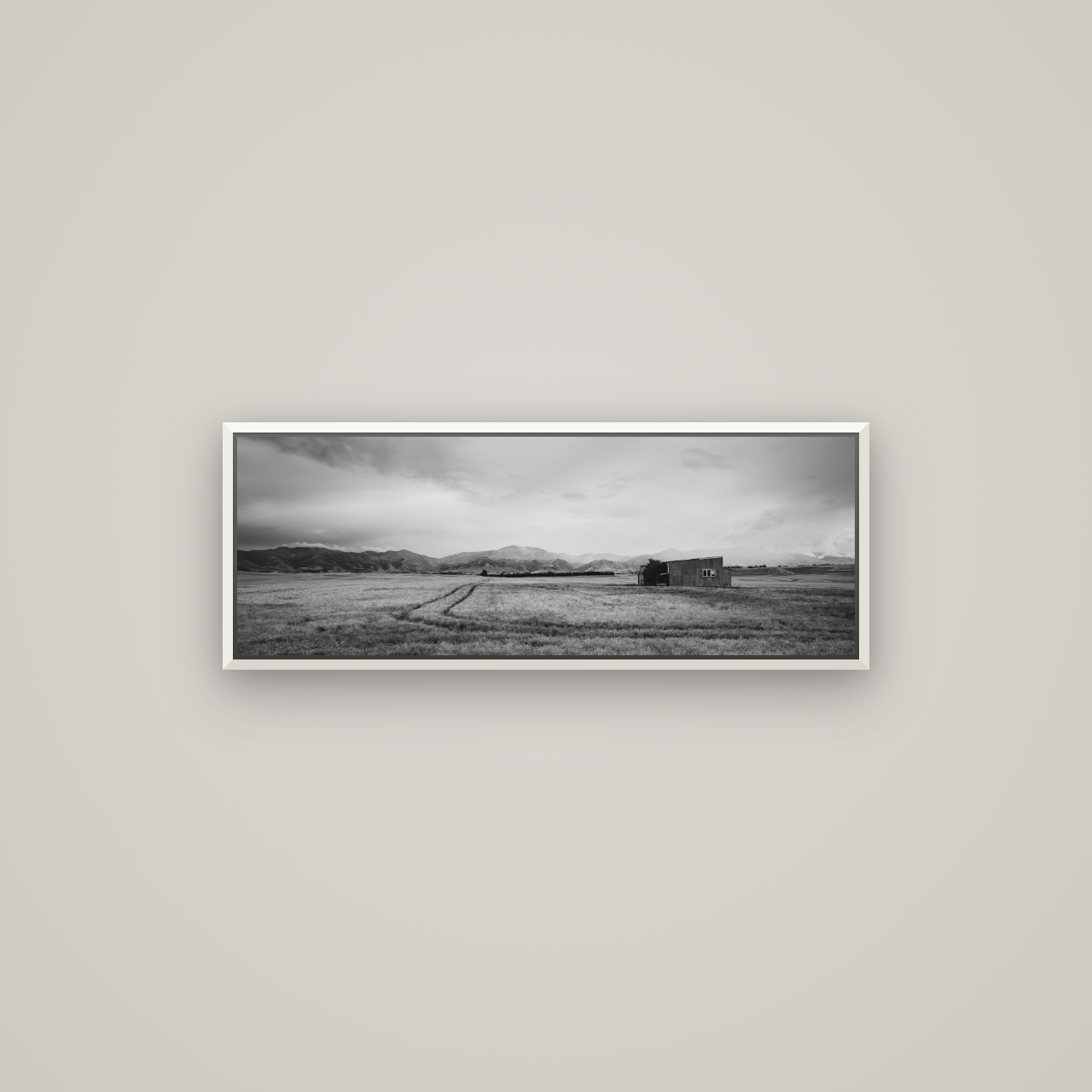 Harvest Light, Canterbury — Basel White, 85×30 cm. New Zealand fine art wall art by Stephen Milner.