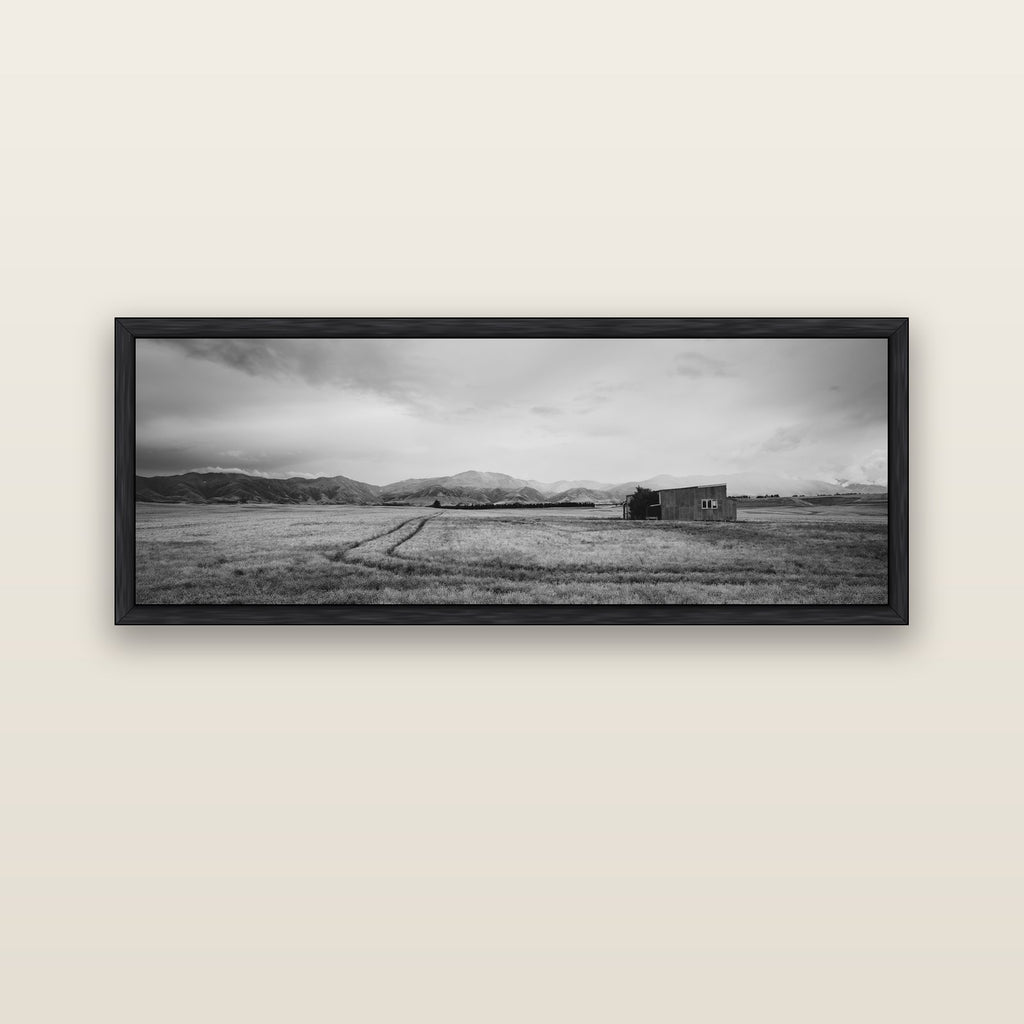 Harvest Light, Canterbury — black float frame canvas, 152 × 56 cm. New Zealand fine art landscape wall art by Stephen Milner.