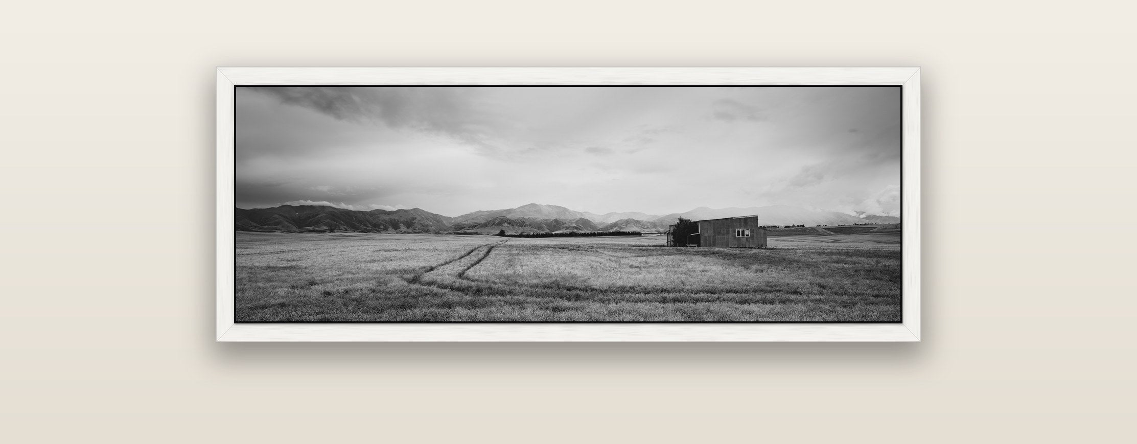 Harvest Light, Canterbury — white float frame framed canvas print. New Zealand fine art landscape wall art by Stephen Milner.