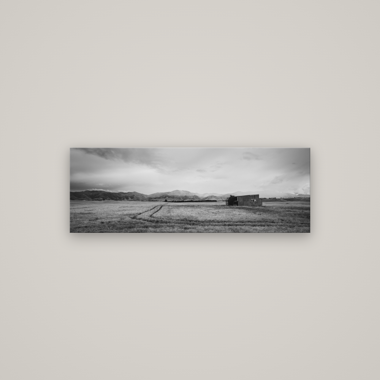 Harvest Light, Canterbury — No frame, 113×40 cm. New Zealand fine art wall art by Stephen Milner.