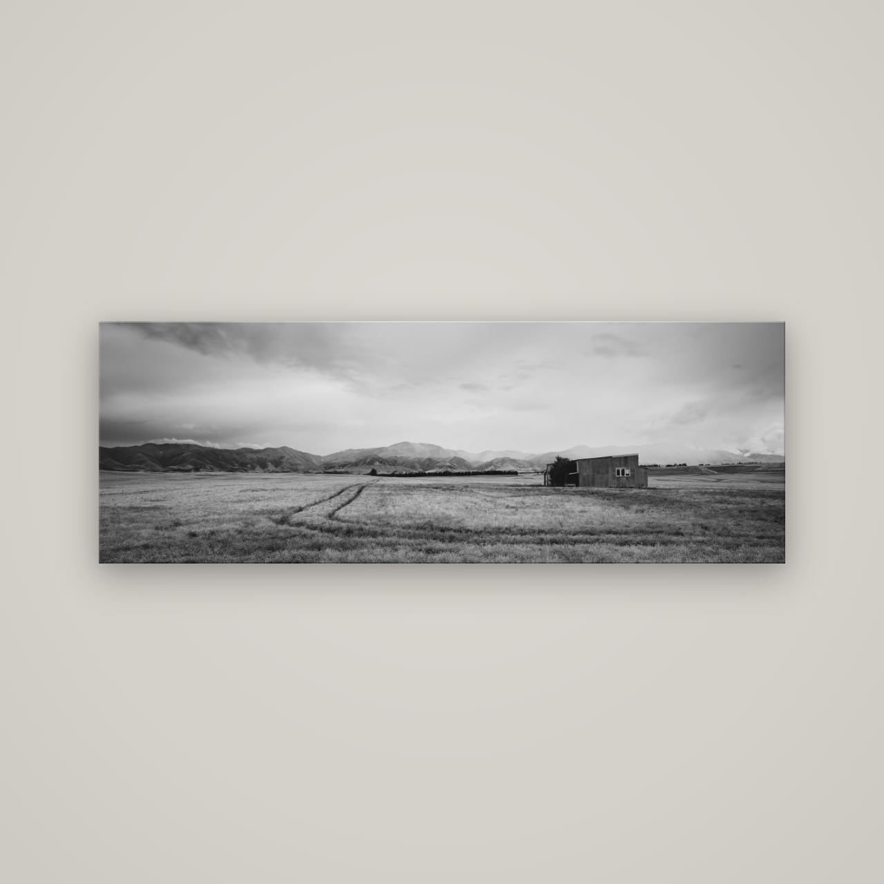 Harvest Light, Canterbury — No frame, 170×60 cm. New Zealand fine art wall art by Stephen Milner.