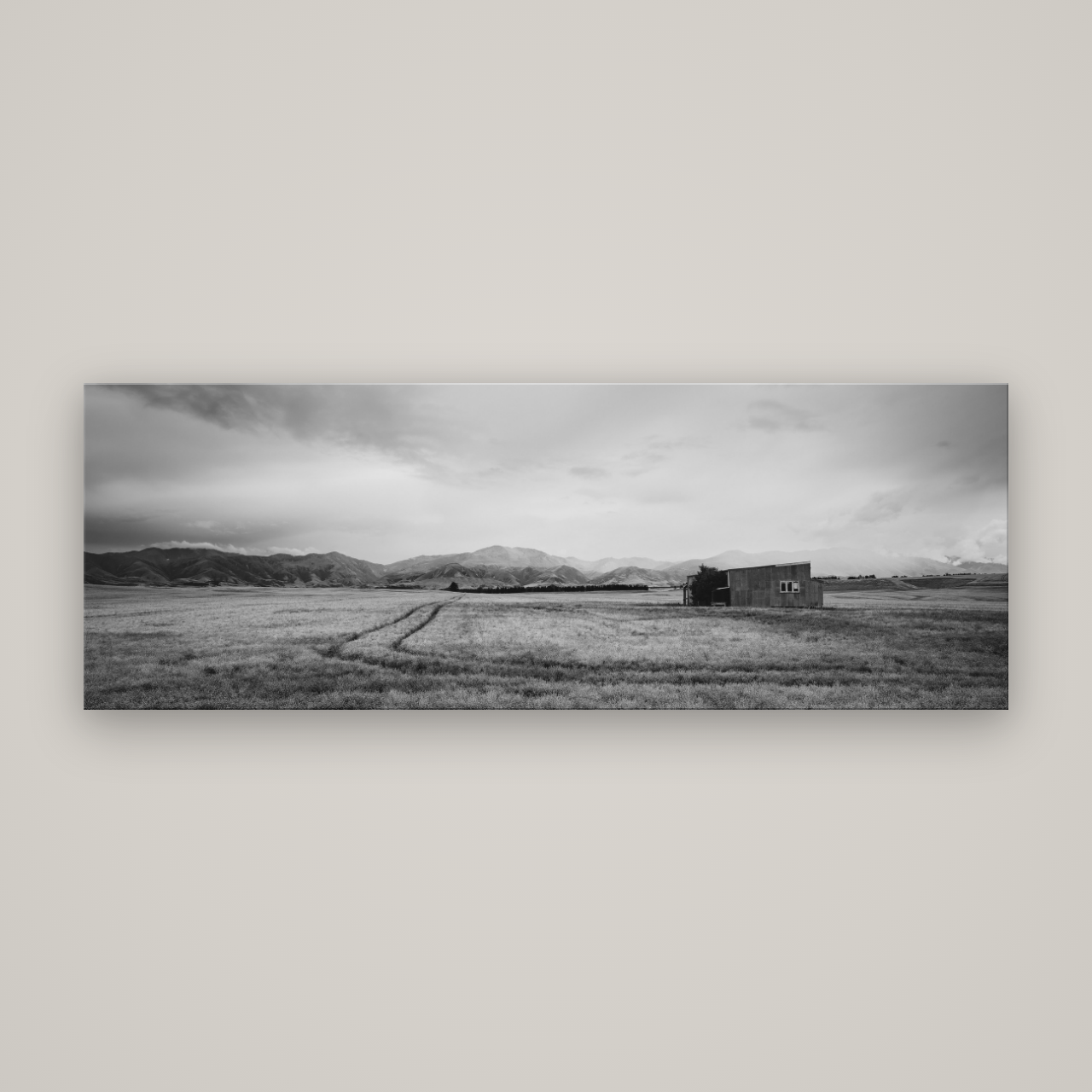 Harvest Light, Canterbury — No frame, 198×70 cm. New Zealand fine art wall art by Stephen Milner.