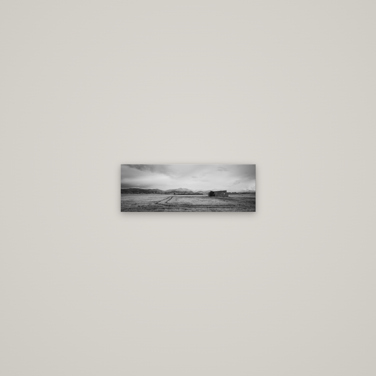 Harvest Light, Canterbury — No frame, 34×12 cm. New Zealand fine art wall art by Stephen Milner.