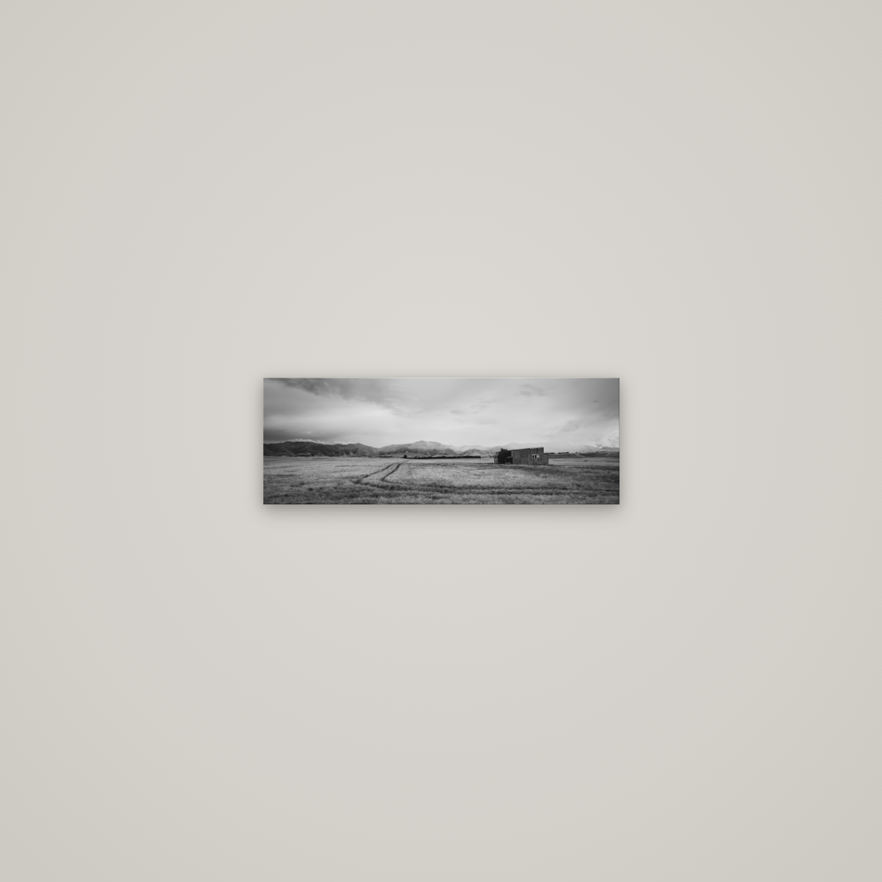 Harvest Light, Canterbury — No frame, 45×16 cm. New Zealand fine art wall art by Stephen Milner.