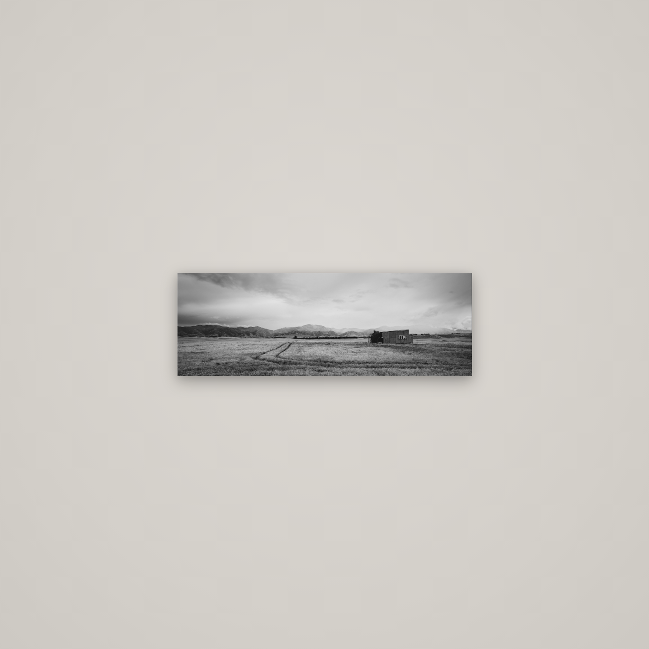 Harvest Light, Canterbury — No frame, 57×20 cm. New Zealand fine art wall art by Stephen Milner.