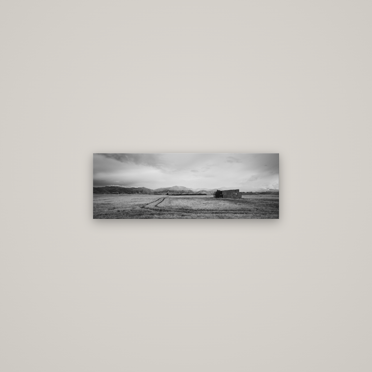 Harvest Light, Canterbury — No frame, 68×24 cm. New Zealand fine art wall art by Stephen Milner.