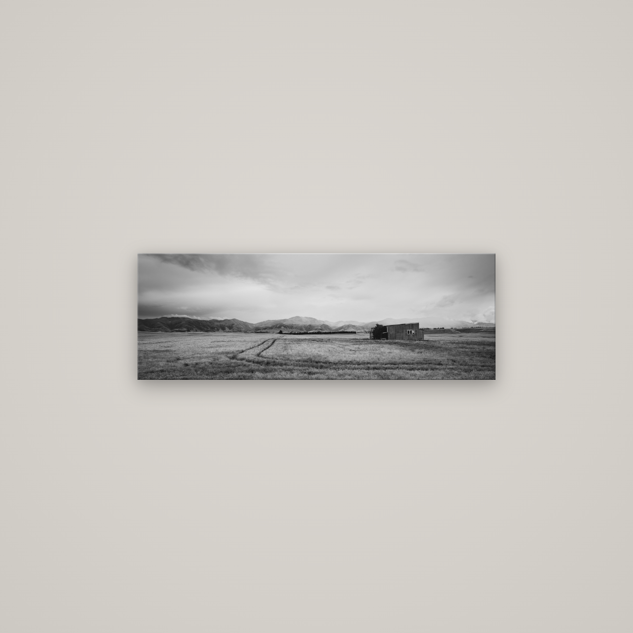 Harvest Light, Canterbury — No frame, 85×30 cm. New Zealand fine art wall art by Stephen Milner.