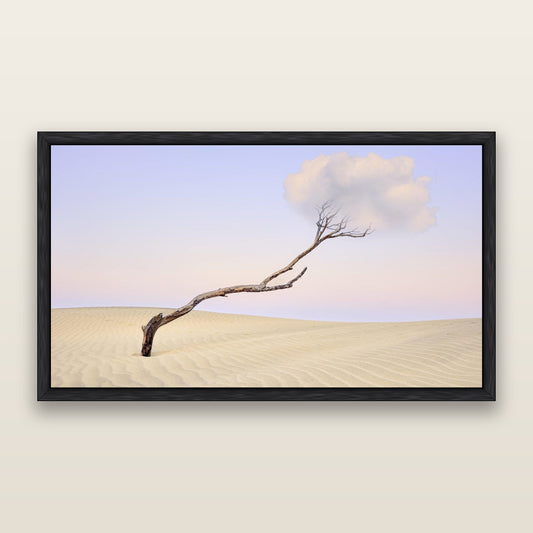 Holding On, Pouto Peninsular — framed metallic canvas print, Black frame. New Zealand fine art landscape wall art by Stephen Milner.