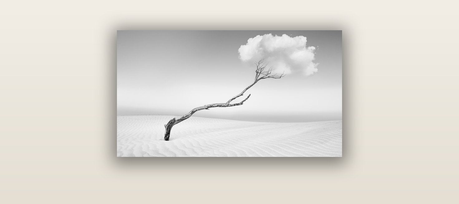 Holding On, Pouto Peninsula — acrylic glass print, 61 × 30 cm. New Zealand fine art landscape wall art by Stephen Milner.