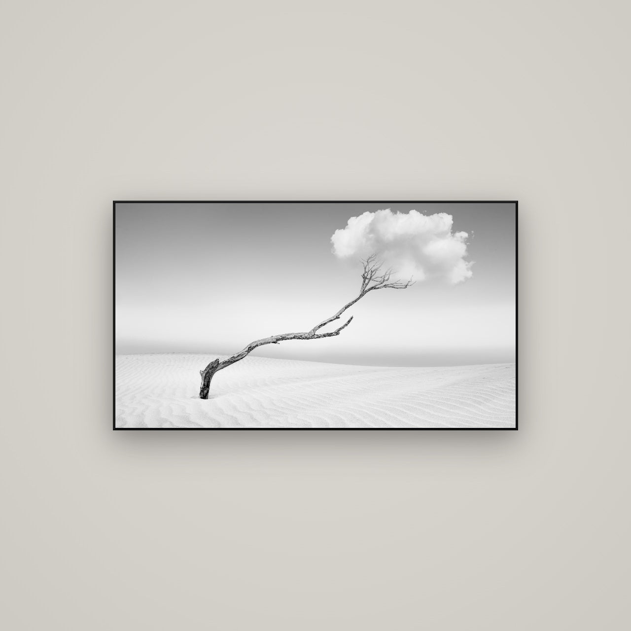 Holding On, Pouto Peninsula — ArtBox Black, 107×60 cm. New Zealand fine art wall art by Stephen Milner.