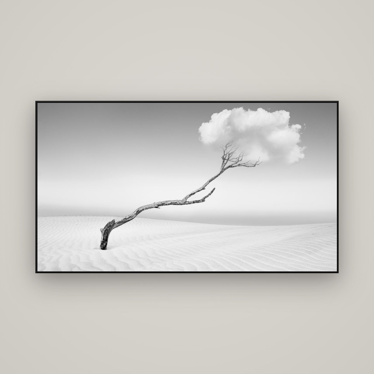 Holding On, Pouto Peninsula — ArtBox Black, 160×90 cm. New Zealand fine art wall art by Stephen Milner.