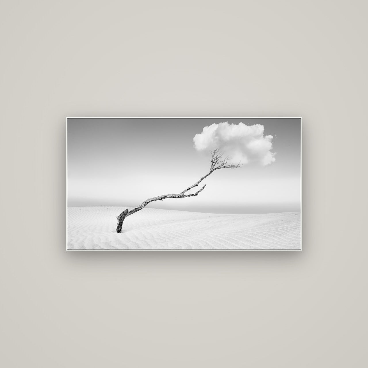 Holding On, Pouto Peninsula — ArtBox White, 107×60 cm. New Zealand fine art wall art by Stephen Milner.