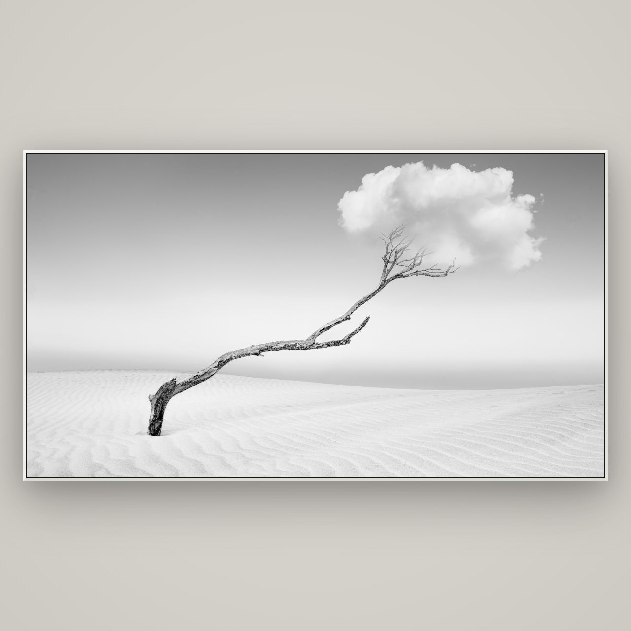 Holding On, Pouto Peninsula — ArtBox White, 196×110 cm. New Zealand fine art wall art by Stephen Milner.