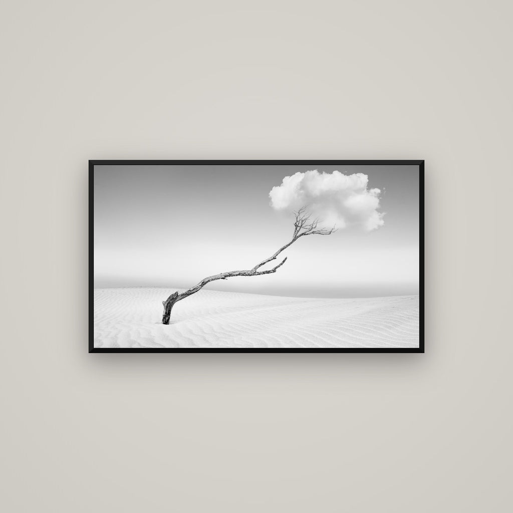 Holding On, Pouto Peninsula — Basel Black Matte, 107×60 cm. New Zealand fine art wall art by Stephen Milner.