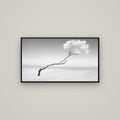 Holding On, Pouto Peninsula — Basel Black, 107×60 cm. New Zealand fine art wall art by Stephen Milner.