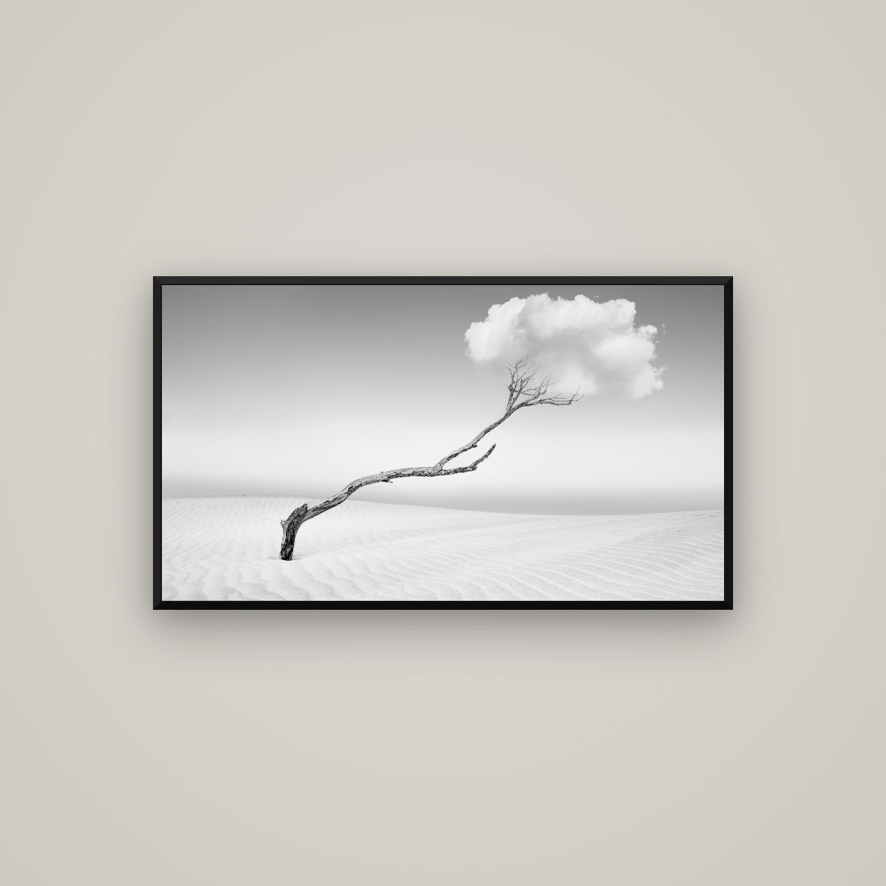 Holding On, Pouto Peninsula — Basel Black, 107×60 cm. New Zealand fine art wall art by Stephen Milner.