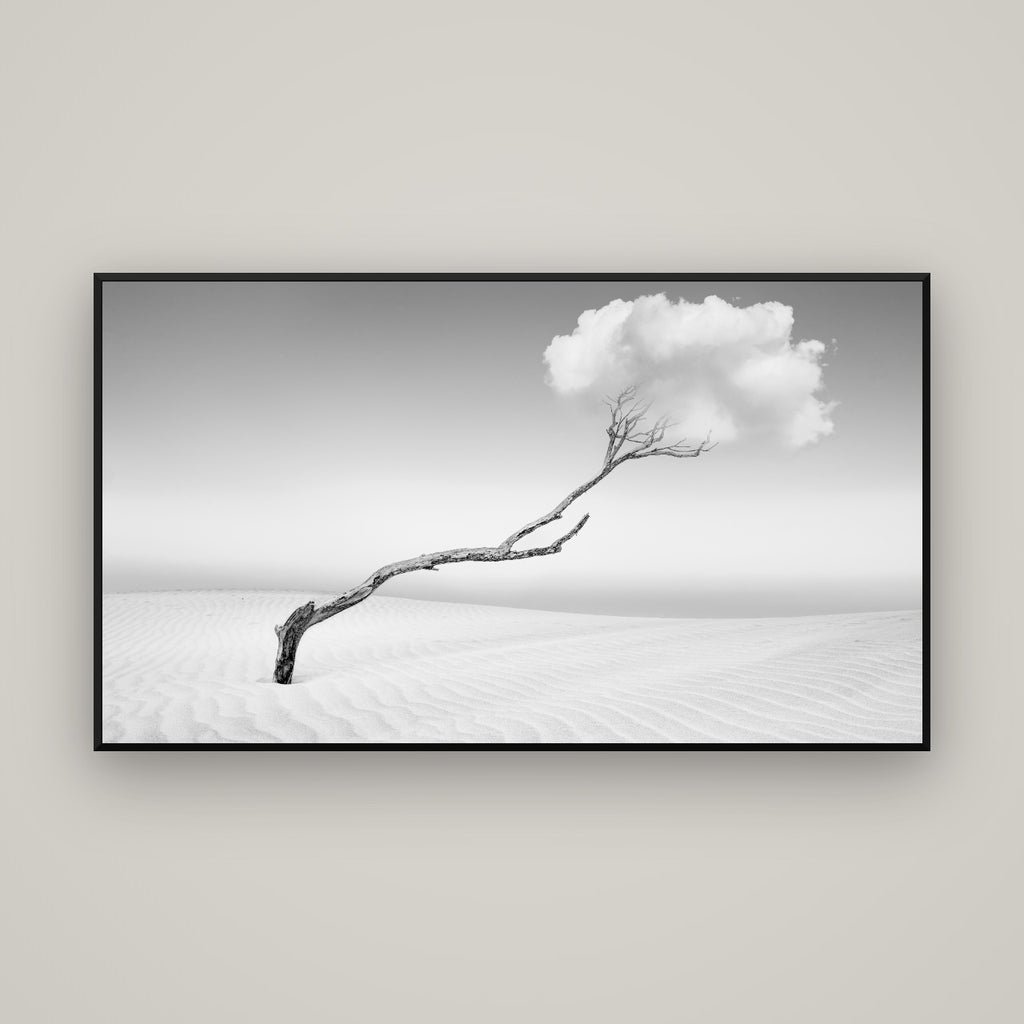 Holding On, Pouto Peninsula — Basel Black Matte, 160×90 cm. New Zealand fine art wall art by Stephen Milner.