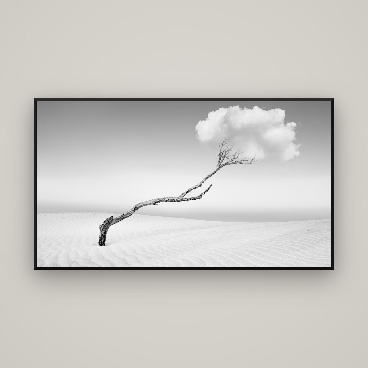 Holding On, Pouto Peninsula — Basel Black, 160×90 cm. New Zealand fine art wall art by Stephen Milner.