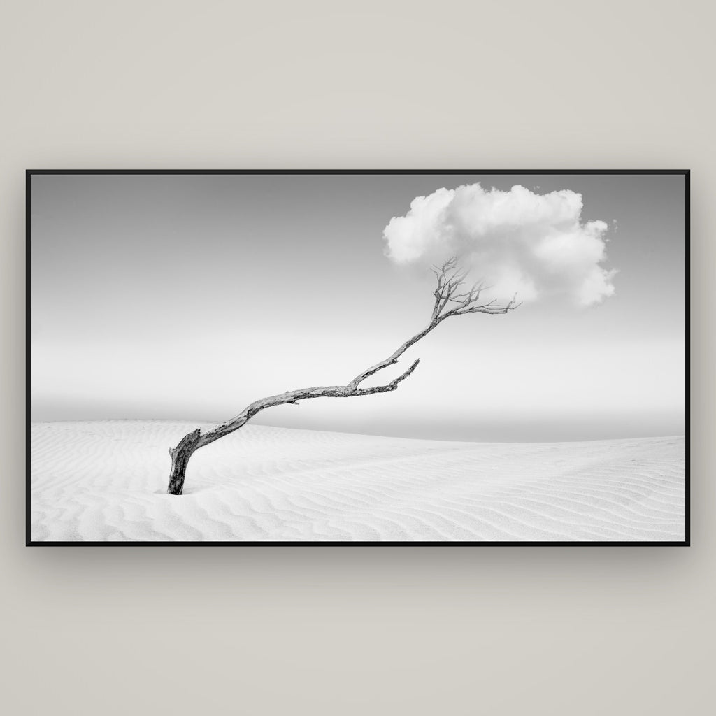 Holding On, Pouto Peninsula — Basel Black Matte, 196×110 cm. New Zealand fine art wall art by Stephen Milner.