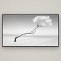 Holding On, Pouto Peninsula — Basel Black, 196×110 cm. New Zealand fine art wall art by Stephen Milner.