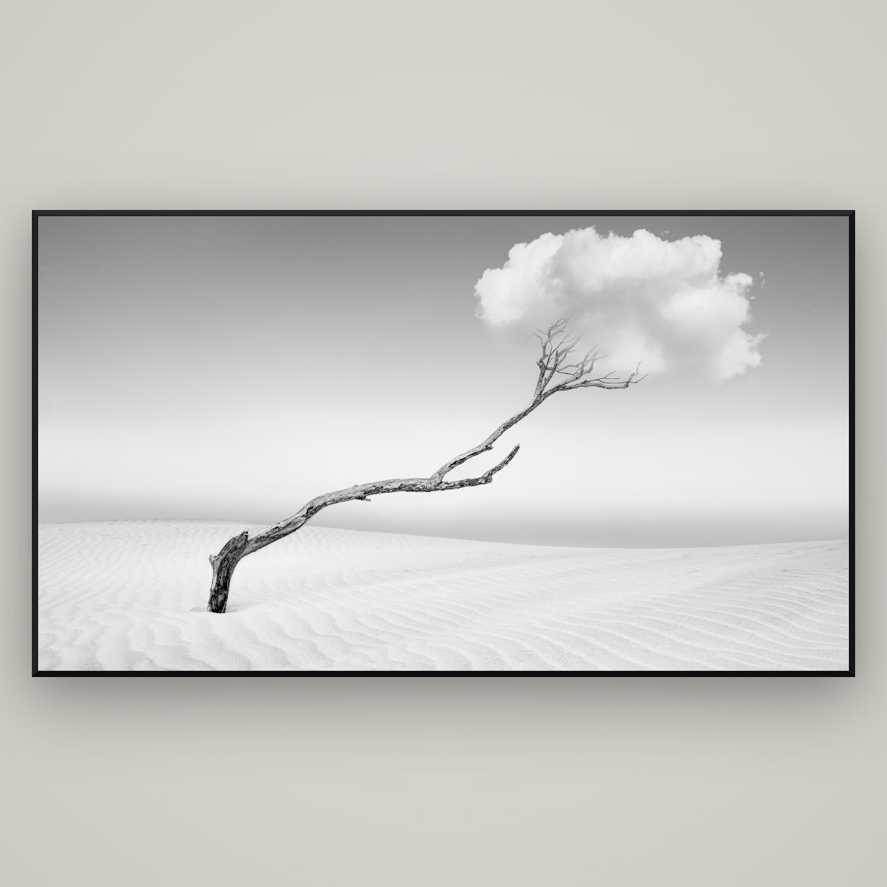 Holding On, Pouto Peninsula — Basel Black, 196×110 cm. New Zealand fine art wall art by Stephen Milner.