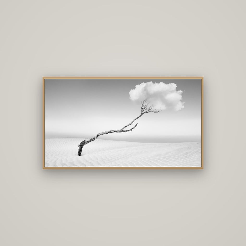 Holding On, Pouto Peninsula, Basel Natural Oak, 107×60 cm. New Zealand fine art wall art by Stephen Milner.