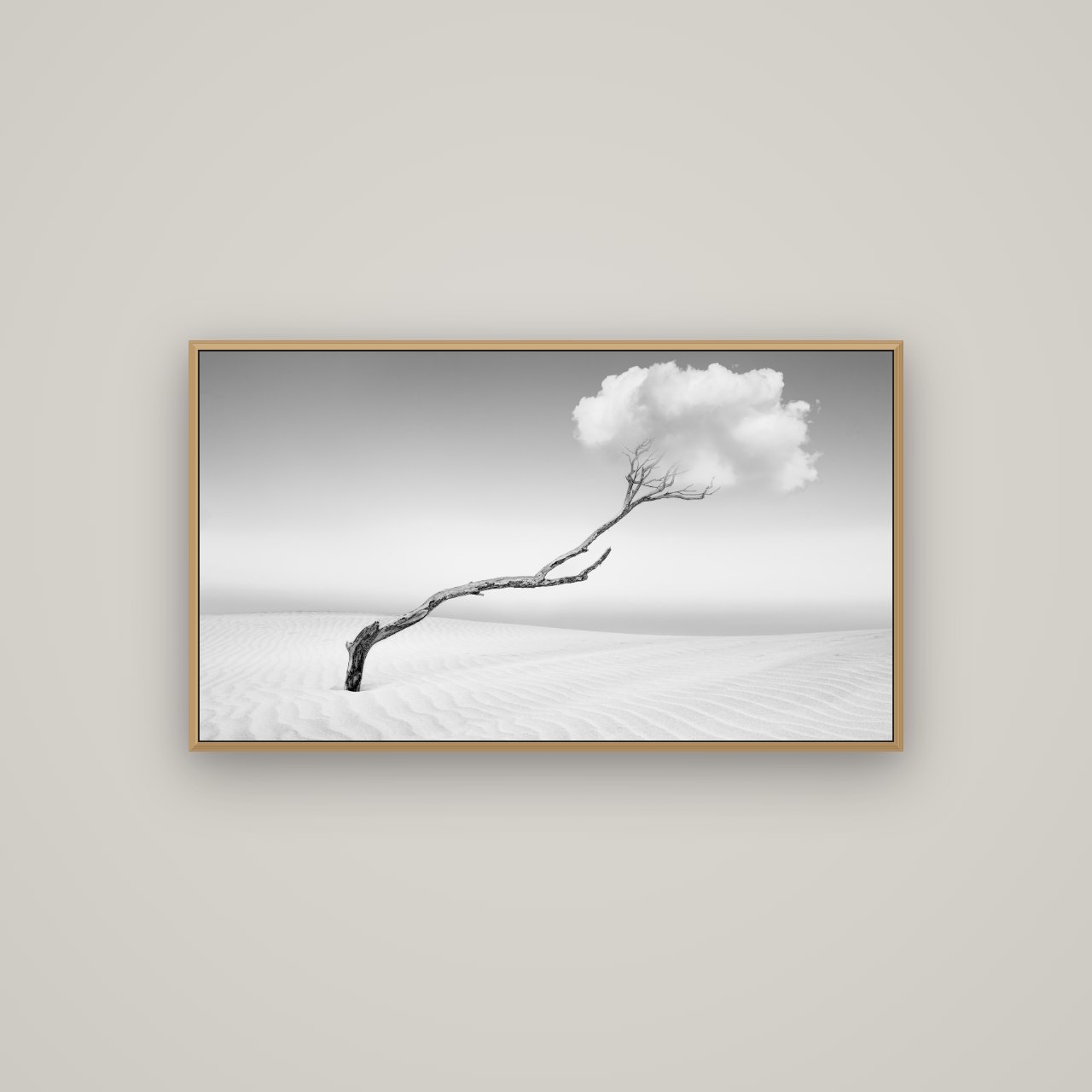 Holding On, Pouto Peninsula, Basel Natural Oak, 107×60 cm. New Zealand fine art wall art by Stephen Milner.