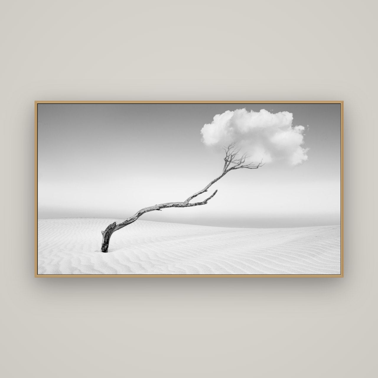 Holding On, Pouto Peninsula, Basel Natural Oak, 160×90 cm. New Zealand fine art wall art by Stephen Milner.