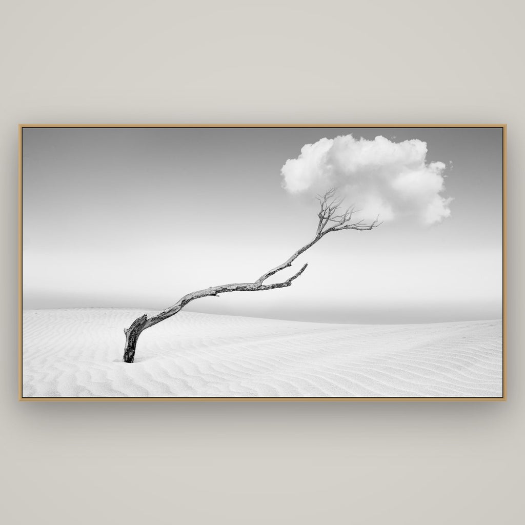 Holding On, Pouto Peninsula, Basel Natural Oak, 196×110 cm. New Zealand fine art wall art by Stephen Milner.