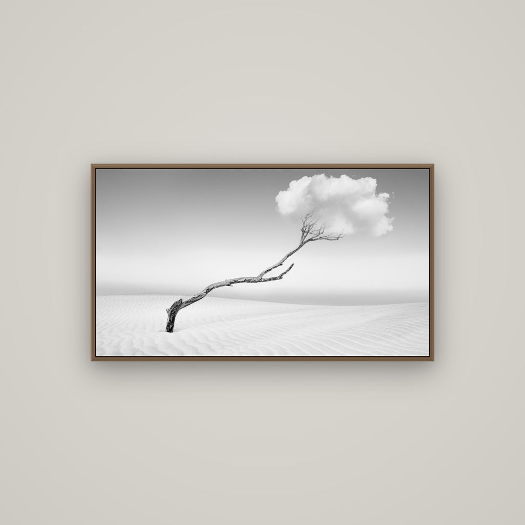 Holding On, Pouto Peninsula, Basel Walnut, 107×60 cm. New Zealand fine art wall art by Stephen Milner.