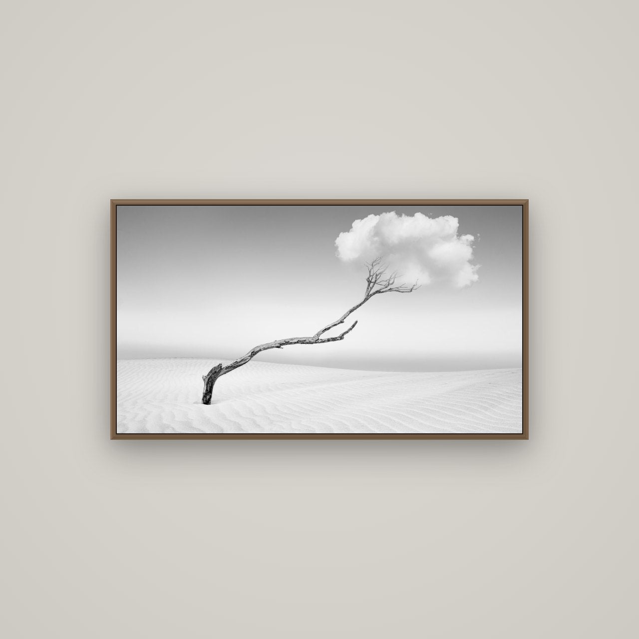 Holding On, Pouto Peninsula, Basel Walnut, 107×60 cm. New Zealand fine art wall art by Stephen Milner.