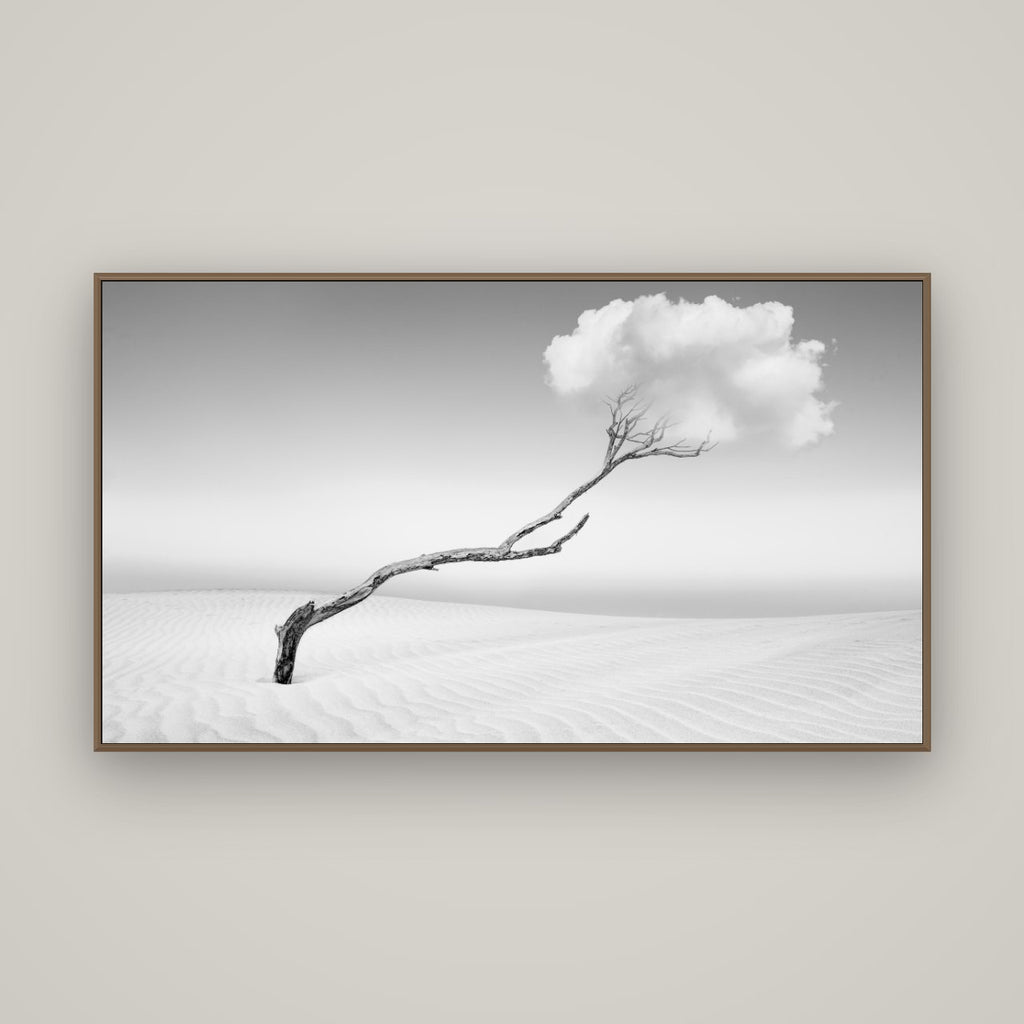 Holding On, Pouto Peninsula, Basel Walnut, 160×90 cm. New Zealand fine art wall art by Stephen Milner.