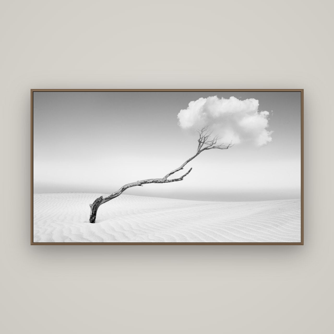 Holding On, Pouto Peninsula, Basel Walnut, 160×90 cm. New Zealand fine art wall art by Stephen Milner.